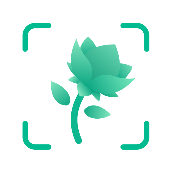 Our App
